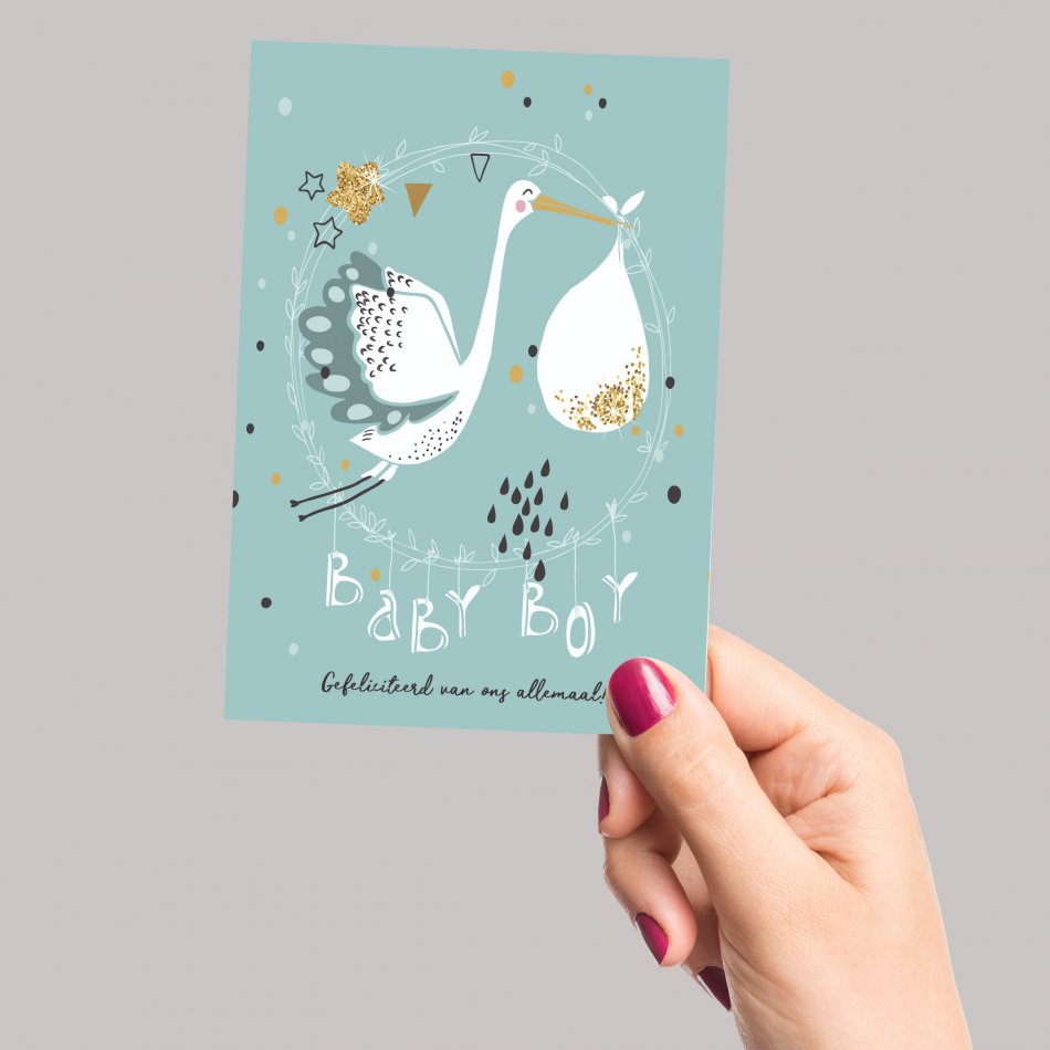 Geboorte Baby Boy - ooievaar