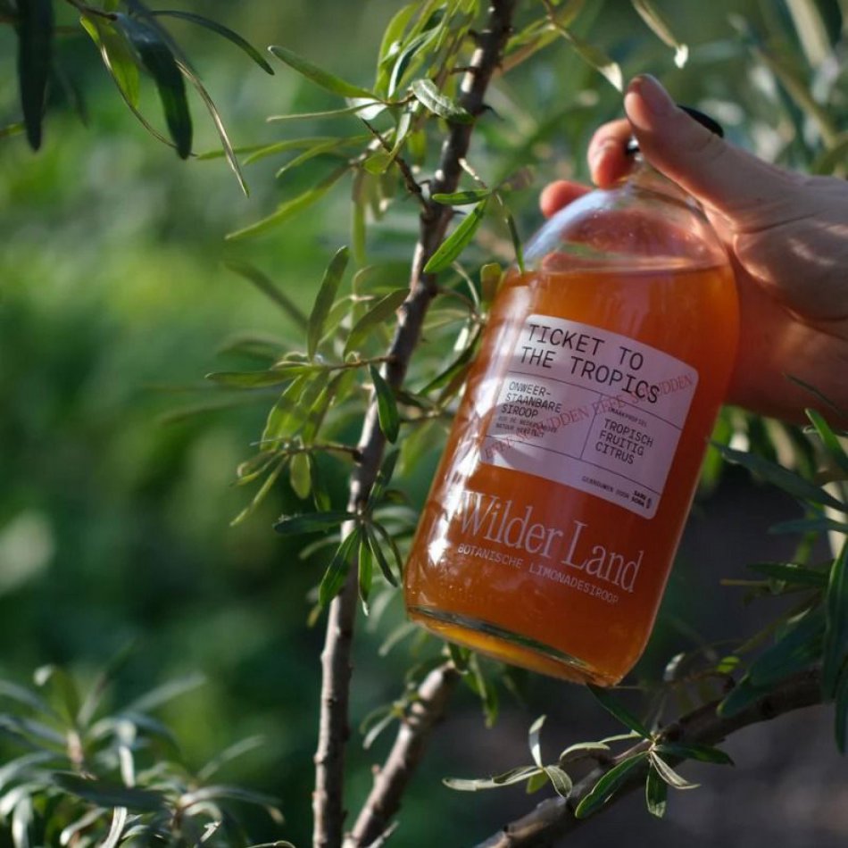 Wilder Land Siroop - Ticket to the tropics 500 ml